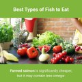 Fish | best-types-of-fish-to-eat | best eating Fuishes