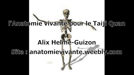 Anatomie Vivante - Automassage Du Pied