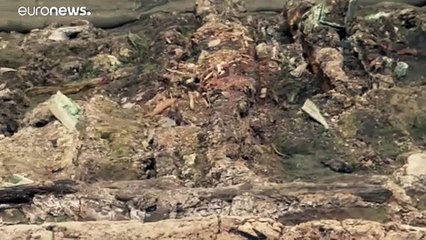 Cina: l'esercito di terracotta "cresce". Scoperti altri 200 guerrieri