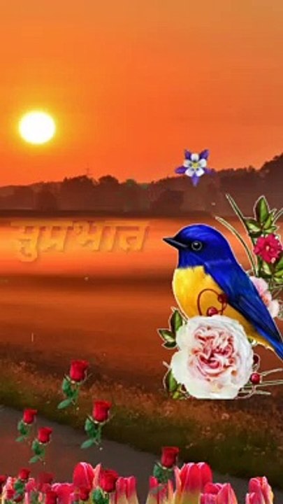 Good morning video