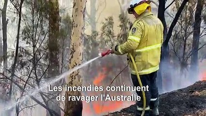Incendies en Australie: témoignage d'un habitant du lac Conjola