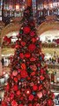 Grand sapin de NOEL 2019 des Galeries LAFAYETTE PARIS Bvd HAUSMANN