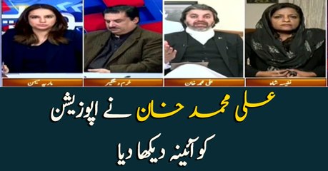 Ali Muhammad Khan criticizes opposition