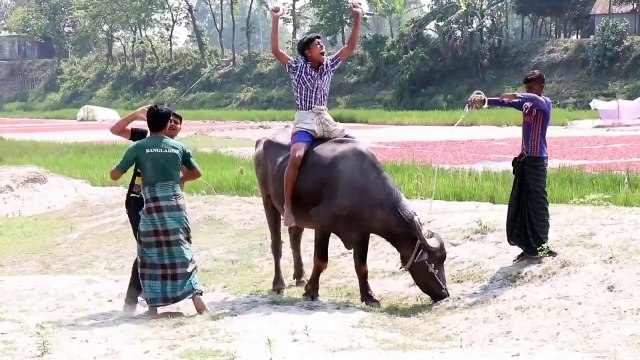 Must Watch New Funny | Comedy Videos 2019 - Episode 1 - Funny Videos | AD Rockstar