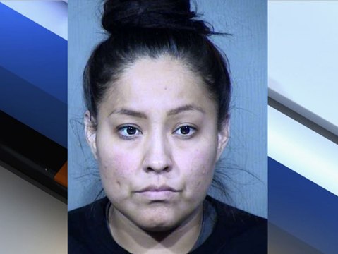 PHX PD: Dog owner tracks down stolen dog - ABC15 Crime