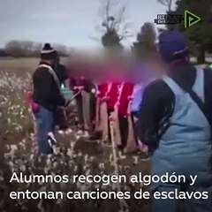 ¡Padres indignados!: Escolares recogen algodón y entonan una "canción de esclavos"