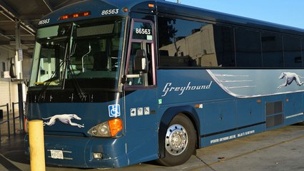Greyhound Is Giving Free Tickets To Runaway Kids Who Want To Come Home