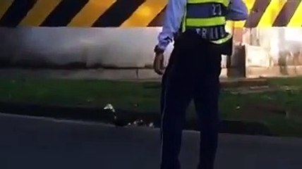 Paralizan el tráfico en una calle para que una familia de patos cruce la carretera