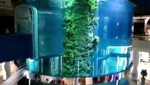 Uno de los acuarios cilíndricos más altos del mundo se rompe en un centro comercial y pasa esto…