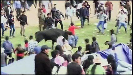 Bull goes wild at religious festival in Peru