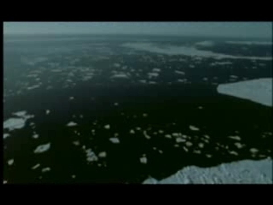 NATURE | Arctic Bears | A Changing World | PBS