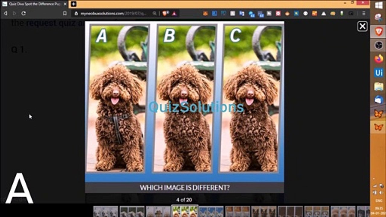 Quiz Diva Spot the Difference Puppy Spot the Different Dog Answers 15(20) Questions Score 100% QuizSolutions