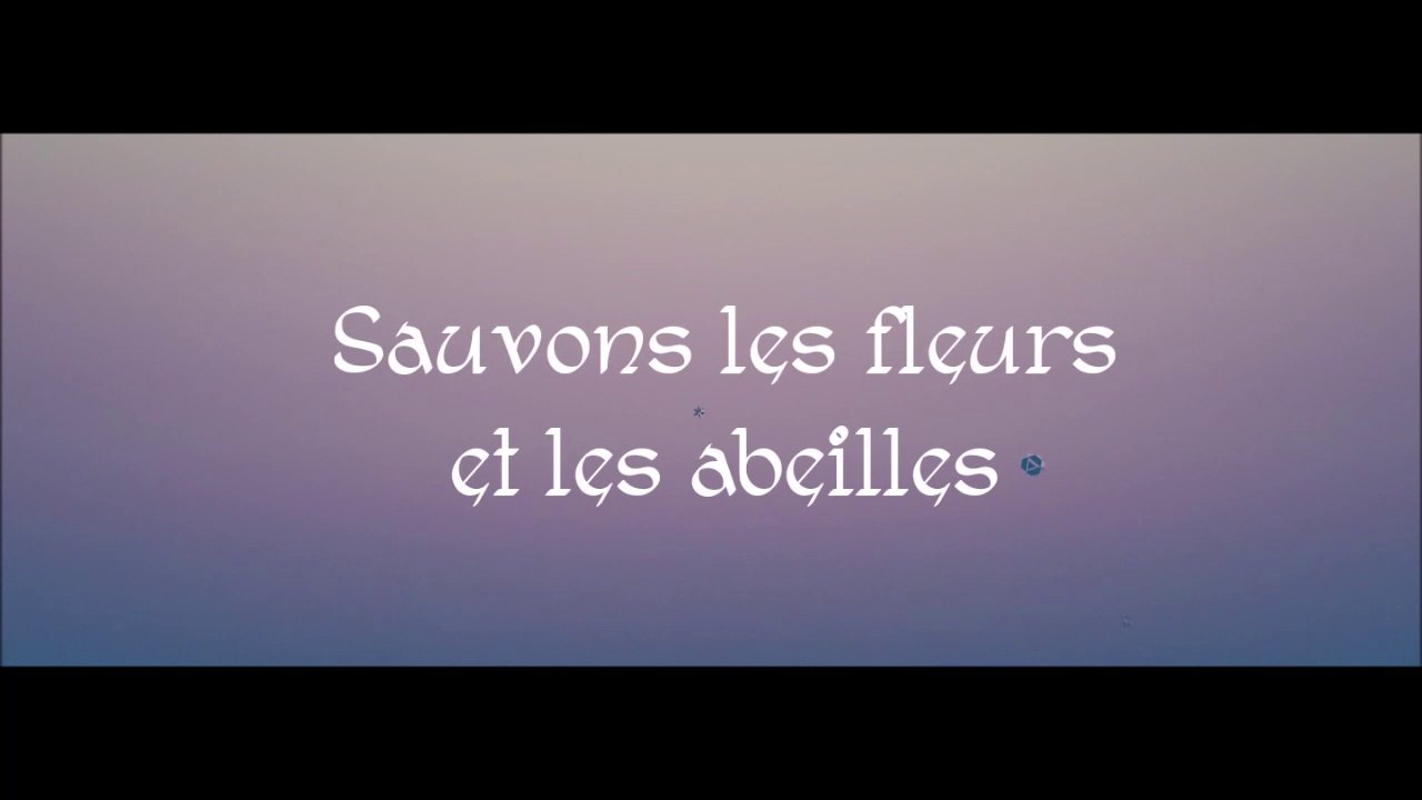 Sauvons les fleurs et les abeilles