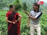 Kumauni song- Babita Teri Sari, Singer:- Mohan Chandra & Sabita Arya, Lyrics:- Om Prakash Sahara