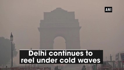 Delhi continues to reel under cold waves