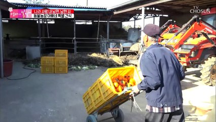 나라사랑 농사사랑! 동물 식구들 챙기느라 바쁘다 바빠~