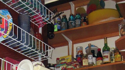 Computer Basics for Beginners: Your Easy Guide to Understanding Computers 🖥️