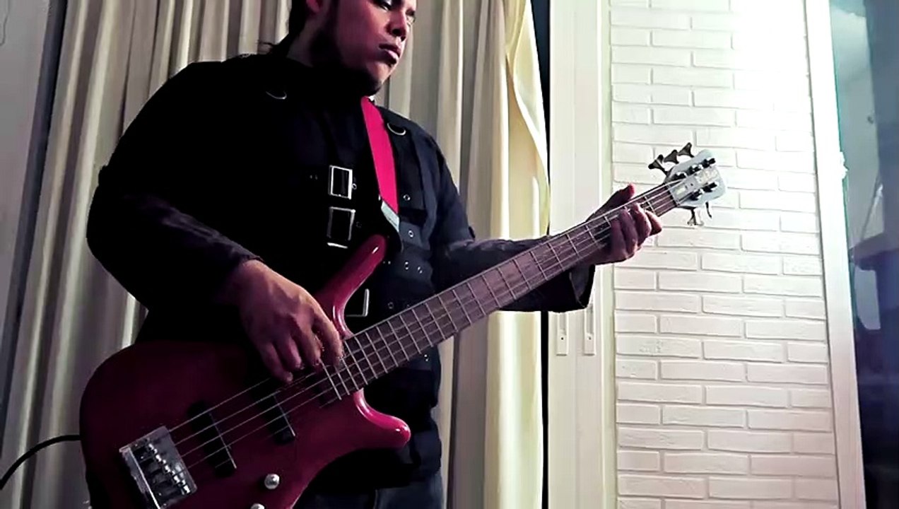 Toss A Coin To Your Witcher - Folk Rock/Metal Cover