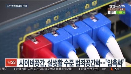전 영역 침범 온라인범죄…"사이버전쟁 시대"