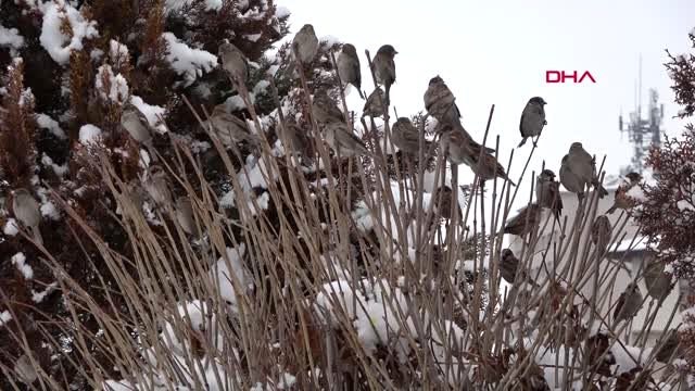 Sivas nöbetteki polis kardan adam yaptı
