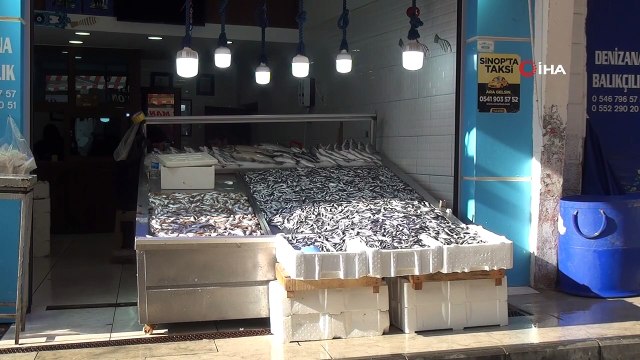 Hamsi firarda... Havalar soğumayınca hamsi Gürcistan'a kaçtı