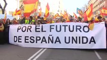 Multitudinaria manifestación en Madrid por la unidad de España