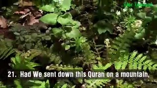 Beautiful reciting the holy Quran and amazing views