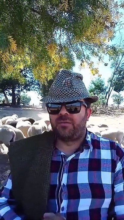 A brincar se fala verdade