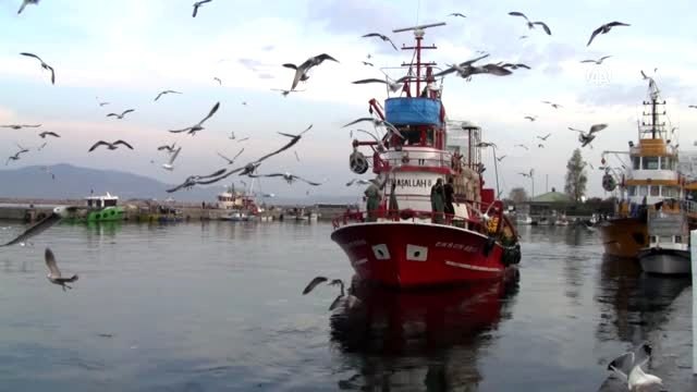 Bandırma Onyedi Eylül Üniversitesi Denizcilik Fakültesi Dekanı Prof. Dr. Sarı'dan açık deniz...