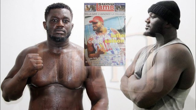 Balla Gaye 2 annonce la couleur je vais exploser l'arène, cette saison je vais... revue de press