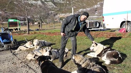 Vassieux-en-Vercors : balade avec un musher… sans neige