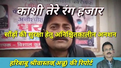 साँड़ों की सुरक्षा हेतु अनिश्चितकालीन धरना, पीएम Narendra modi के आने पर खत्म होगा धरना:- Vishal