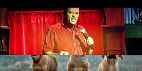 Project paul Rodniguez mexican punder Project