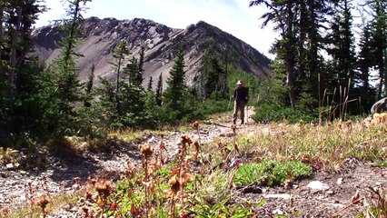 Six Million Steps: A Journey Inward Official Trailer.mpg