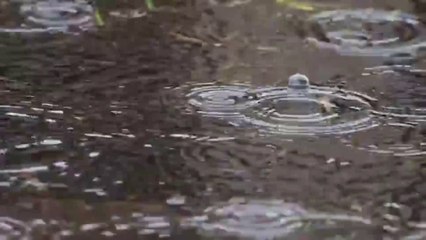 बारिश में बर्फ कैसे बनकर गिरती है? How  does snow fall in the rain?