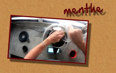 Gelée de bissap (fleurs d'hibiscus) thermomix