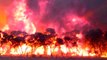 Kebakaran hutan Australia ciptakan cuaca sendiri - TomoNews