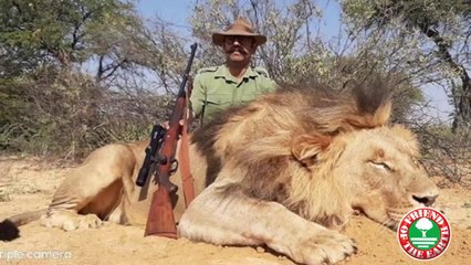 Save big cats - Friend of the Earth