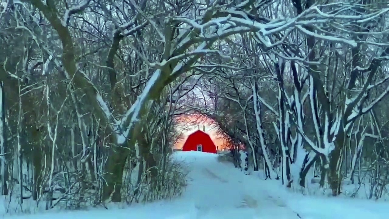 Les images magnifiques du soleil levant dans le Minnesota en hiver