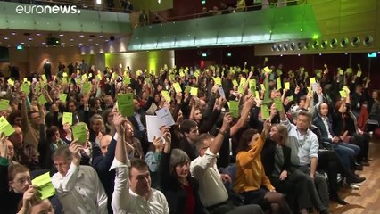 I delegati dei Verdi austriaci dicono sì al governo con i Popolari