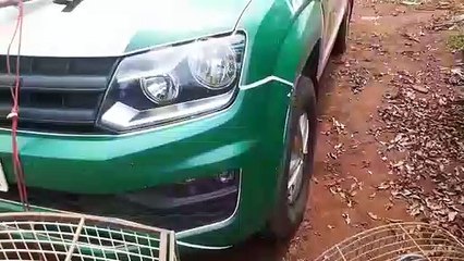 Polícia Ambiental realiza apreensão de armas, em Jesuítas