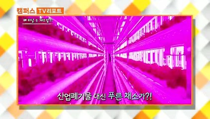 [옴부즈맨] 1월 5일