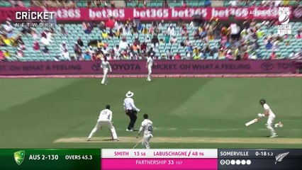 Labuschagne, Smith make Kiwis toil hard at the SCG  Third Domain Test v New Zealand - 2020