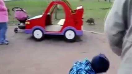 GATOS VS PERROS - CATS VS DOGS COMPILATION 2020!!!