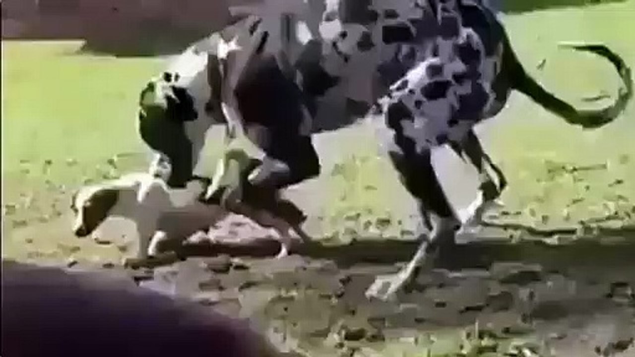 El tamaño sí que importa