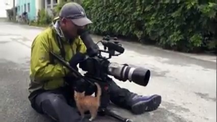 Este pequeño gato decide no salir en el documental que rodaban y hace esto…