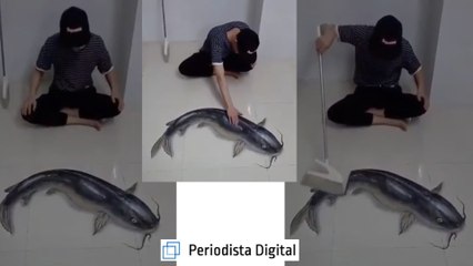 Ni imaginas lo que pasa al final de este vídeo….