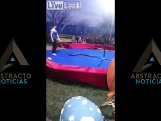 Misterioso vídeo del entrenador de serpientes siendo estrangulado por un pitón