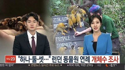 [지구촌화제] "하나·둘·셋…" 런던 동물원 연례 개체수 조사