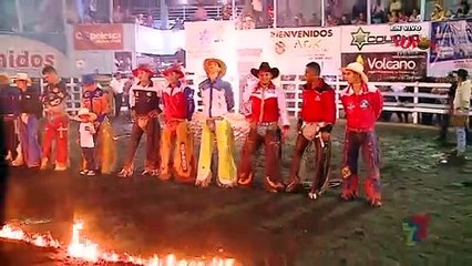 Micros Taurinos - 04 Enero 2020